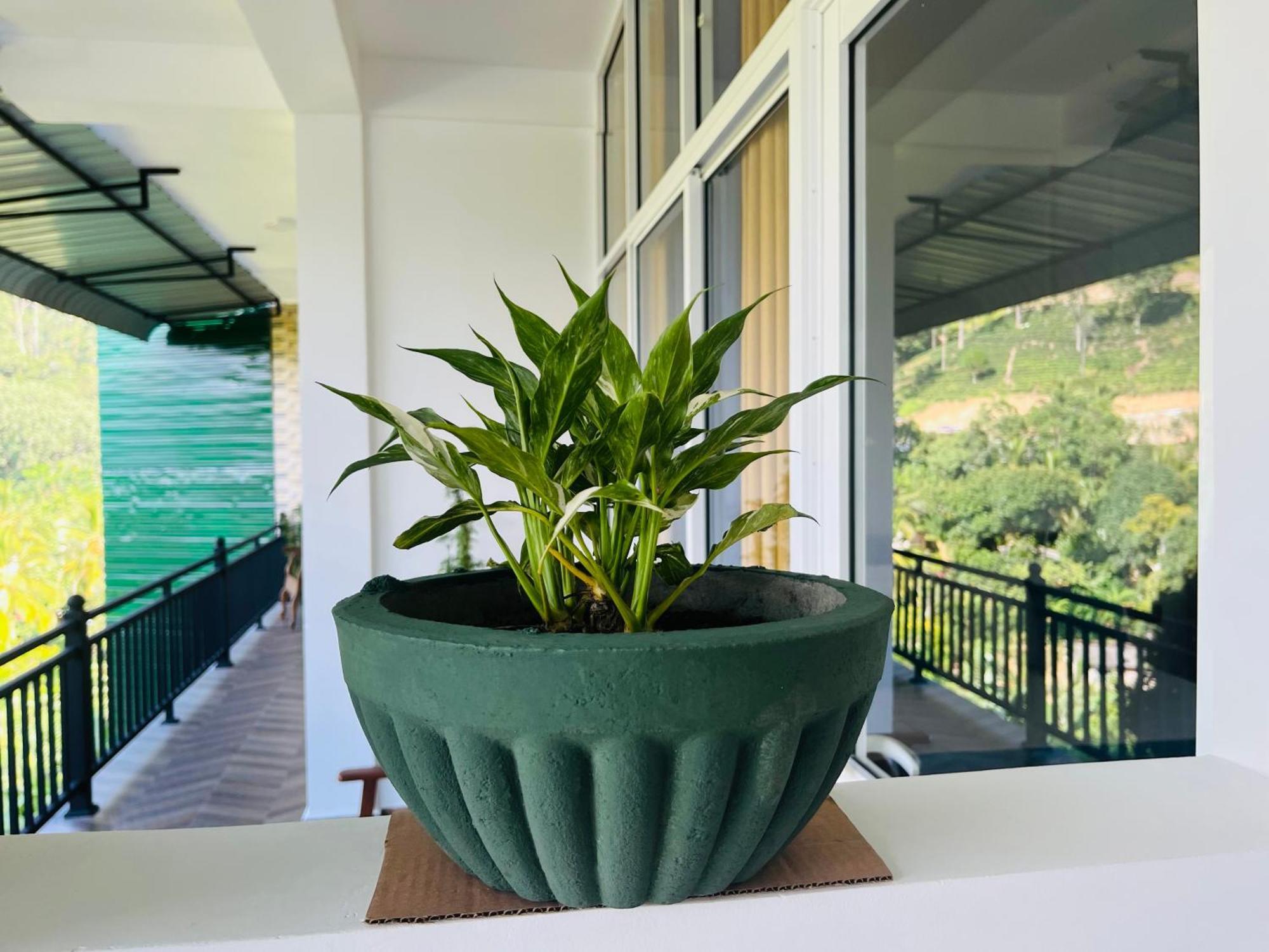 Viyanga Homestay Ella Exterior foto